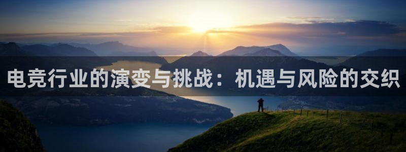 乐鱼电竞官网：电竞行业的演变与挑战：机遇与风险的交织