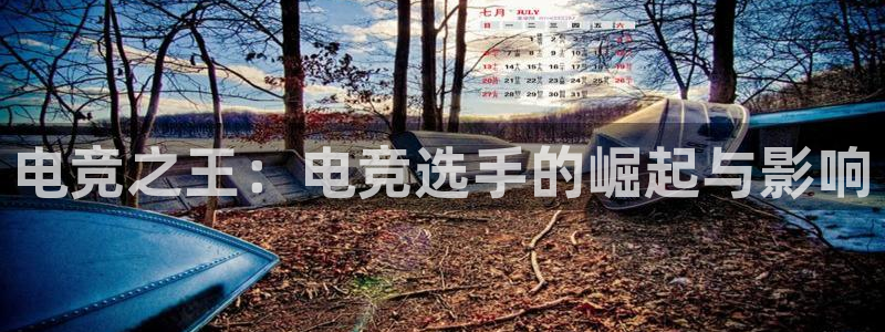 乐鱼电竞下载：电竞之王：电竞选手的崛起与影响