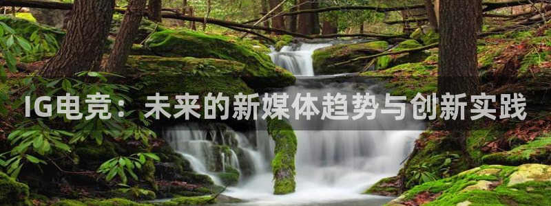 乐鱼电竞英雄联盟app官方：IG电竞：未来的新媒体趋势与创新实践