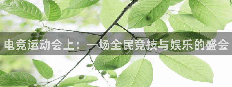 乐鱼电竞app下载：电竞运动会上：一场全民竞技与娱乐的盛会