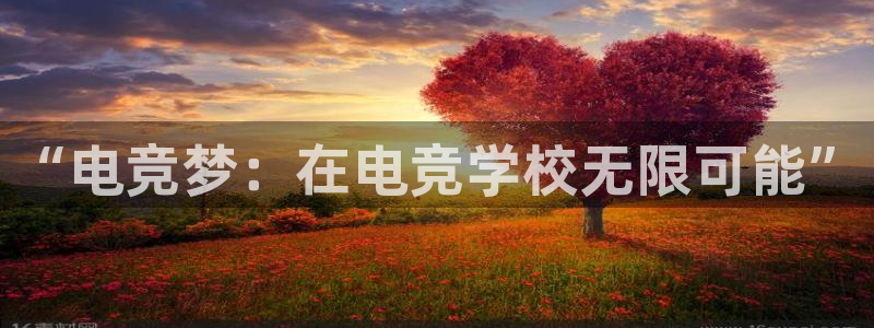 乐鱼电竞app下载：“电竞梦：在电竞学校无限可能”
