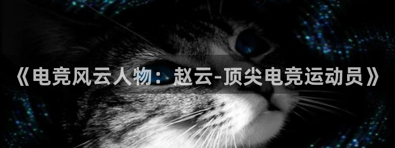 乐鱼电竞app下载：《电竞风云人物：赵云-顶尖电竞运动员》