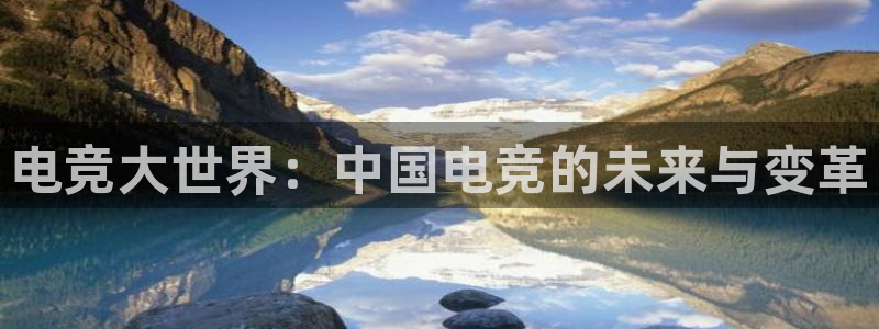 乐鱼电竞网站：电竞大世界：中国电竞的未来与变革